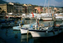 Cena con degustazione al Ristorante E Cigae di Santa Margherita Ligure (GE)