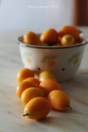 Torta ai kumquat