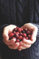 The Perfect Bite  : : POLLO FARCITO ALLE CASTAGNE CON SALSA DI CRANBERRIES