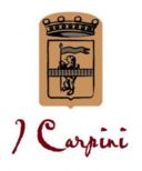 I vini della cascina ” I carpini”