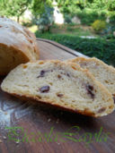 Pane di Semola con Olive e Pasta Madre