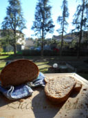 Pane Integrale con Pasta Madre