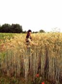 Grande ritorno del pane di segale