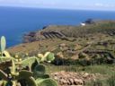 I passiti di Pantelleria in degustazione a PN