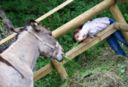 Fiera di Buttrio, a misura di bambino