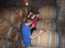 Degustazione e colmatura delle barriques.