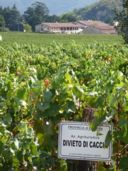 Da quest’anno caccia vietata nei nostri vigneti