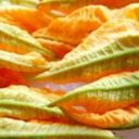 Fiori di zucchina ripieni di carne