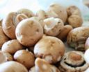Funghi alla panna