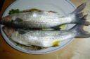 Cefali alle olive verdi