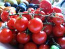 Antipasto di pomodori