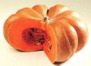 Sformato di zucca e ricotta