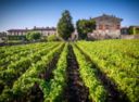 Berlucchi, un Festival Franciacorta sull’onda dell’arte