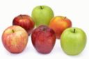 E’ il tempo delle mele, sinonimo di salute e benessere