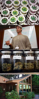 Tutti fumati per il gelato alla marijuana