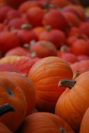 Tortelli di zucca in due varianti come ricetta per Halloween