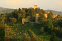 Assaggi di vino. Viaggio nel Chianti Classico/2. Il Centro