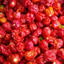 In cucina con peperoncino Trinidad Scorpio? Si, ma solo con la tuta protettiva!