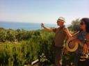 Calabria 2 | Ma lo sapevi che sullo Jonio fanno il traminer?