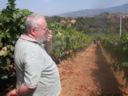 Stelle del Sud | Le Terre del Gufo con il vino alla francisi