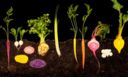 Libri | Modernist cuisine, la scienza incontra il food porn