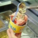 Milano. Il Gelato di Gaia ti aiuta a superare l’esame all’Università