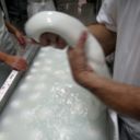 Mozzarella di bufala. Sequestro di falsi anche al Salone del Gusto