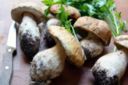 Tagliatelle, la migliore ricetta per fare compagnia ai funghi porcini