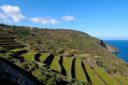 UNESCO. Gioire per la Vite ad Alberello e per i migliori vini di Pantelleria