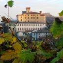 Le Langhe: Alba, Barolo, tartufo e birra