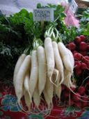 Avete mai assaggiato il daikon?