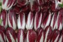 Tante ricette con il radicchio