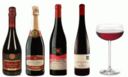 Brachetto di Acqui Terme: uno straordinario vino dolce del basso Piemonte