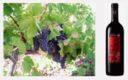Nero d’Avola: caratteristiche e abbinamenti del grande vino siciliano