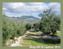 Azienda Agricola la Tenuta dei Ricordi : gli artigiani di Squisito 2011