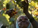 Bollicine for India. Un incontro di formazione a Tezze di Piave