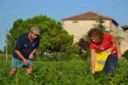 “Verdura freska” direttamente a casa: l’e-commerce dell’orto