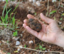 #visitgranda 01, Valle Grana: terra del Castelmagno DOP e del tartufo nero