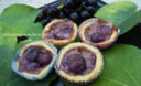 Tartellettes di settembre