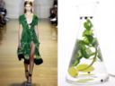 ACQUA AROMATIZZATA