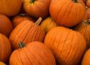 Pumpkin Pie: un dessert originale