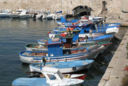 Galan ad assessori regionali: vi prego di non illudere i pescatori