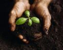 Confagricoltura: non crescono i prezzi all'origine e crollano i redditi dei produttori