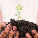 Crisi agricola, Cia: prezzi sempre all'ingiù e costi alle stelle