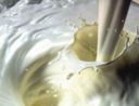 Prezzo del latte, rotte le trattative: fallisce il vertice fra industrie e Coldiretti