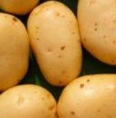 Agricoltura: accordo patate, bene per valorizzare la qualità