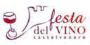 A Castelvenere (Bn) la XXXIII Edizione della Festa del Vino