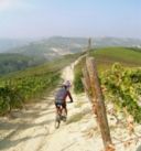 Canelli (At): edizione 2010 di "Vino in borraccia - In bici tra vigne e cantine"