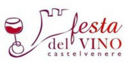 Castelvenere (Bn): la XXXIII Festa del Vino ha centrato gli obiettivi prefissati