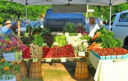 Lavoro, Coldiretti: Voucher estesi anche a Farmers Market